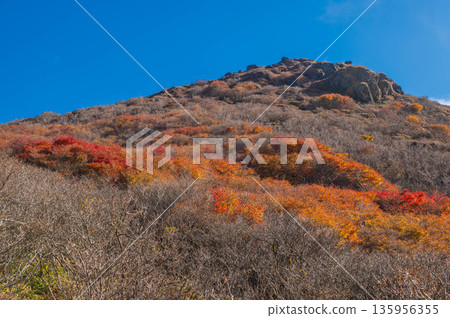 Autumn foliage just below Mount Mimata's IV peak Autumn foliage just below Mount Mimata's IV peak 135956355