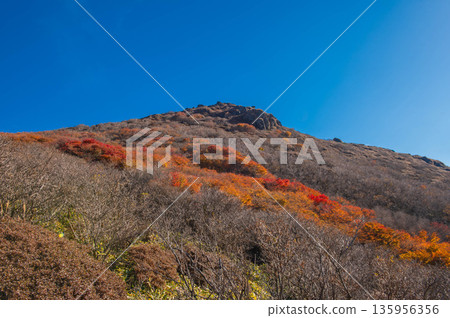 Autumn foliage just below Mount Mimata's IV peak Autumn foliage just below Mount Mimata's IV peak 135956356