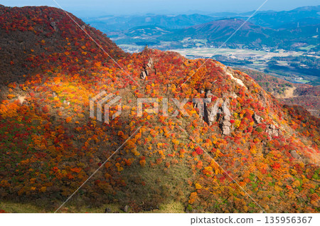 從登山步道上可以看到美俁山北峰的秋葉。 從登山步道上可以看到美俁山北峰的秋葉。 135956367
