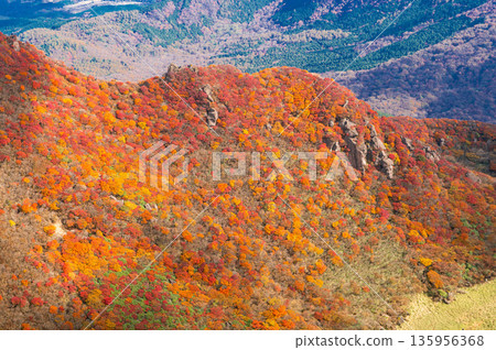 Autumn foliage of the northern peak of Mt. Mimata seen from the main peak of Mt. Mimata 135956368