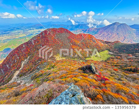 從美俁山主峰山坡上眺望北峰的秋葉。 從美俁山主峰山坡上眺望北峰的秋葉。 135956379