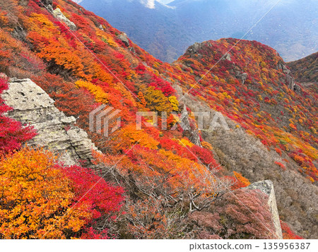 Autumn leaves on the slope seen from the northern peak of Mt. Mimata Autumn leaves on the slope seen from the northern peak of Mt. Mimata 135956387