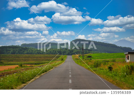 Scenery of Shujitsu Hill Scenery of Shujitsu Hill 135956389