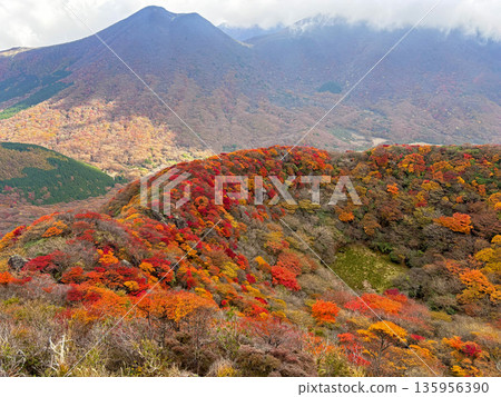 Autumn leaves around Konabe on Mt. Mimata Autumn leaves around Konabe on Mt. Mimata 135956390