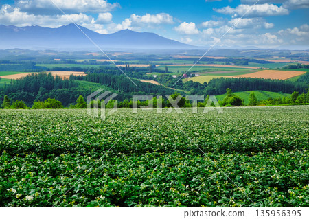 從修實山俯瞰全景 從修實山俯瞰全景 135956395