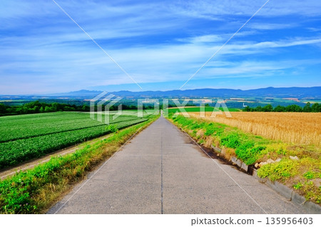 Scenery from the hills of Boshin 135956403