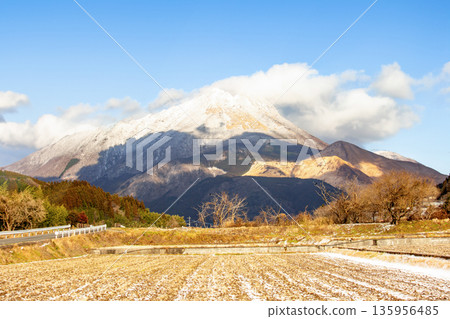 雪在雪中 135956485