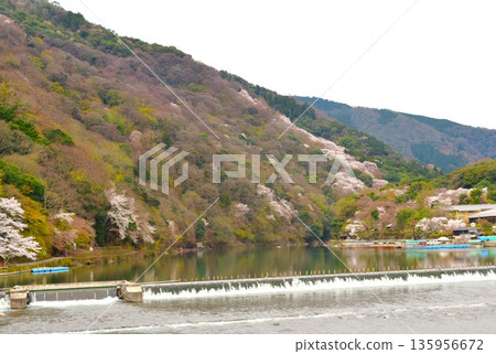 春天嵐山京都11 春天嵐山京都11 135956672