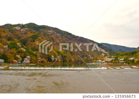 春天嵐山京都12 春天嵐山京都12 135956673