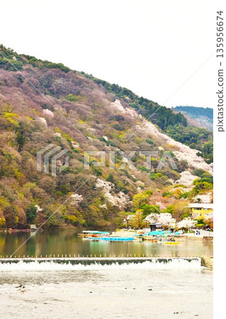 春天嵐山京都 13 春天嵐山京都 13 135956674