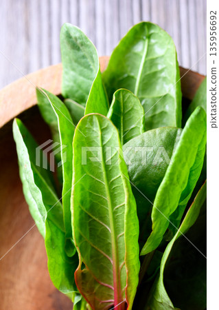 Bright green sorrel foliage served in rustic wooden bowl 135956692