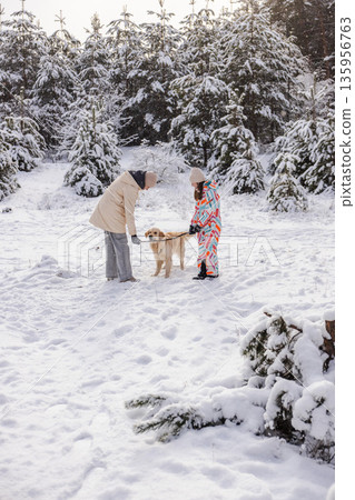 Two teenagers holding stick with Golden Retriever in snowy pine forest, winter outdoor play scene Two teenagers holding stick with Golden Retriever in snowy pine forest, winter outdoor play scene 135956763