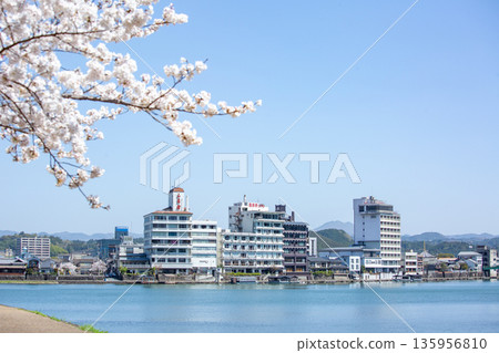 Cherry blossoms in full bloom at Mikumagawa Park and scenery along the river in Hita 135956810