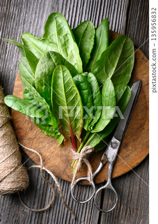 Raw sorrel leaves styled on wooden board with twine and scissors 135956832