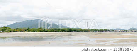Panoramic view of a tropical beach at low tide with wet sand and puddles. Lush green trees line the shore with rolling mountains under a cloudy sky in the background. Calm coastal landscape. Panoramic view of a tropical beach at low tide with wet sand and puddles. Lush green trees line the shore with rolling mountains under a cloudy sky in the background. Calm coastal landscape. 135956873