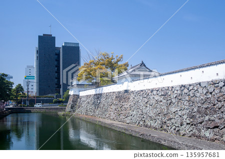 Fuchu castle toy and Oita city hall government building 135957681