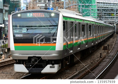 E233 series 3000 series E-74 formation Shonan-Shinjuku Line E233 series 3000 series E-74 formation Shonan-Shinjuku Line 135957939