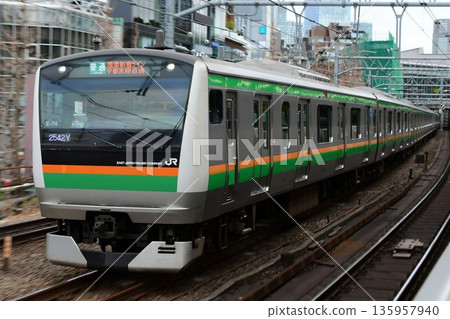 E233 series 3000 series E-74 formation Shonan-Shinjuku Line Yamanote Freight Line 135957940