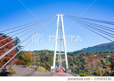 Kuju“夢想”大型吊橋和秋天的落葉 135958190