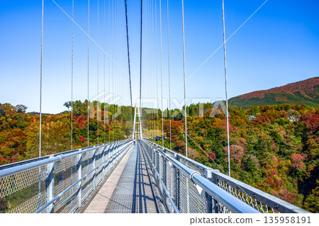 Kokonoe "Dream" Suspension Bridge and Autumn Leaves 135958191