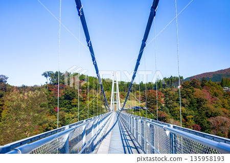 Kuju“夢想”大型吊橋和秋天的落葉 135958193