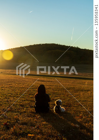 A woman sits in a field with her dog 135958341