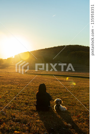 A woman sits in a field with her dog 135958351