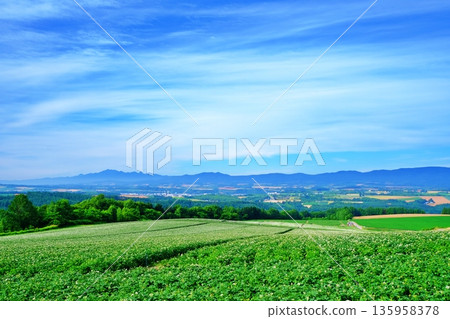 從修實山俯瞰全景 135958378