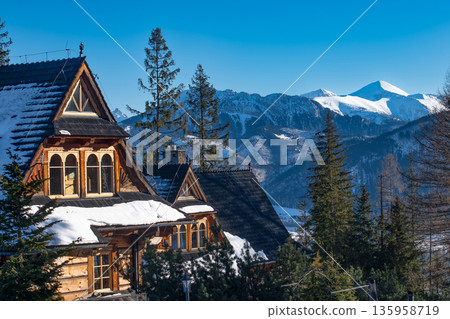 mountain houses in Zakopane mountain houses in Zakopane 135958719