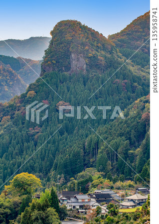 佐野鬆比丘的秋葉 135958741