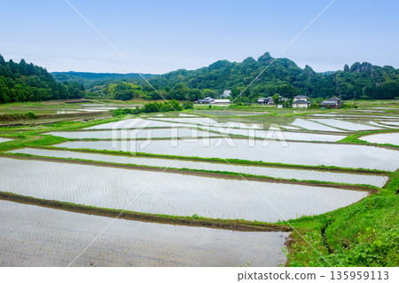  Tasomesho 135959113