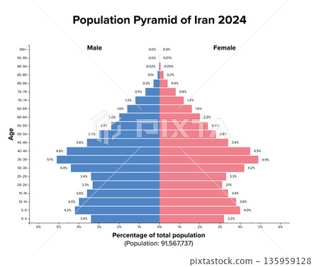 Iran, population pyramid, 2024. Age structure diagram and graphical illustration of distribution of over 91 million people, divided into females and males, quoted in percent and 4-year steps. Vector 135959128