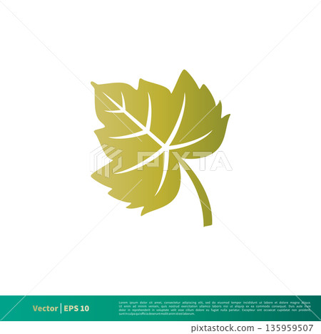 Nature Maple Leaf Icon Vector Logo Template Illustration Design. Vector EPS 10. Nature Maple Leaf Icon Vector Logo Template Illustration Design. Vector EPS 10. 135959507