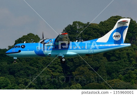 Amakusa Airlines ATR42-600 landing at Fukuoka Airport Amakusa Airlines ATR42-600 landing at Fukuoka Airport 135960001