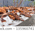 Close-up of bark mulch partially covered by melting snow in a garden bed, showing texture contrast between organic wood chips and icy white surface. 135960741
