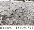 Frozen ice sheet with cracks and embedded debris on the surface, capturing a textured pattern of melting frost and rough granular winter formation. 135960751