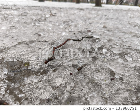 Frozen ice sheet with cracks and embedded debris on the surface, capturing a textured pattern of melting frost and rough granular winter formation. 135960751