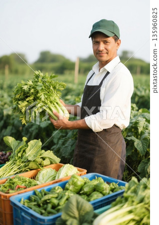 农民于农场收获蔬菜场景 135960825