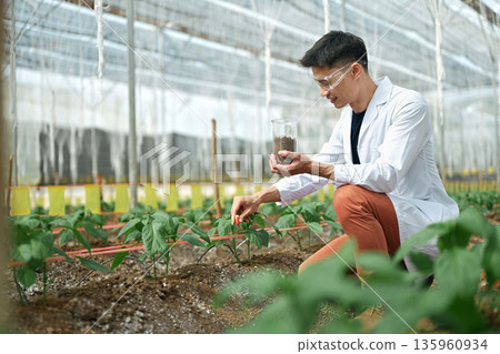 Agronomist checking soil quality in greenhouse Agronomist checking soil quality in greenhouse 135960934