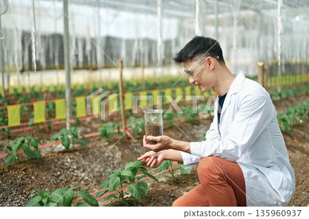 Agronomist checking soil quality in greenhouse Agronomist checking soil quality in greenhouse 135960937