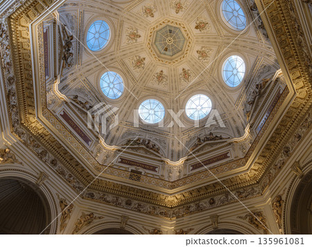 Celling in Naturhistorisches Museum in Vienna, Interior view of Vienna Natural History Museum showing exhibitions and details. Celling in Naturhistorisches Museum in Vienna, Interior view of Vienna Natural History Museum showing exhibitions and details. 135961081