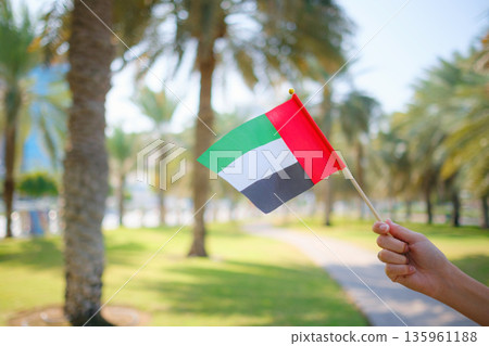 Close up of female hand holding tiny flag of UAE against Abu Dhabi park from Corniche. Promenade in Abu Dhabi. United Arab Emirates, Middle East. Photo of UAE national day celebration spirit. 135961188
