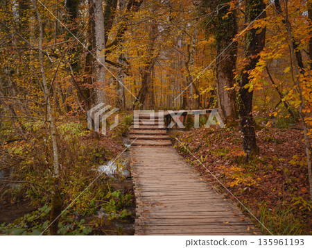 Wooden walkpath in Plitvice National Park. Splendid autumn in forest with pure water lake. Picturesque landscape of Croatia, Europe. Beauty of nature concept background. Wooden walkpath in Plitvice National Park. Splendid autumn in forest with pure water lake. Picturesque landscape of Croatia, Europe. Beauty of nature concept background. 135961193