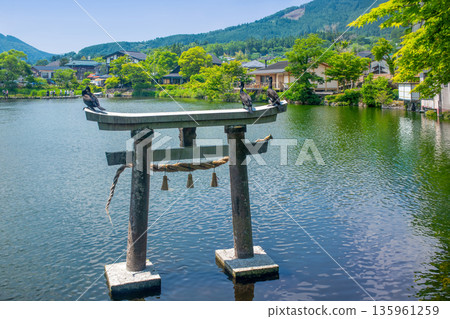 Fresh green Yufuin Kinka Lake Fresh green Yufuin Kinka Lake 135961259