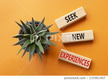 New Experiences symbol. Wooden blocks with words Seek New Experiences. Beautiful orange background with succulent. Business and New Experiences concept. Copy space. New Experiences symbol. Wooden blocks with words Seek New Experiences. Beautiful orange background with succulent. Business and New Experiences concept. Copy space. 135961407