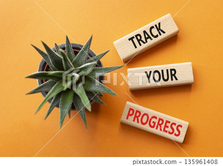 Progress symbol. Wooden blocks with words Track Your Progress. Beautiful orange background with succulent. Business and Track Your Progress concept. Copy space. Progress symbol. Wooden blocks with words Track Your Progress. Beautiful orange background with succulent. Business and Track Your Progress concept. Copy space. 135961408