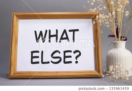 What else symbol. Concept words What else on beautiful wooden picture frame. Beautiful grey background with flower vase. Business and What else concept. Copy space. 135961459