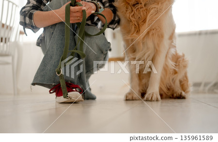 Girl Holding Leash Getting Sneakers On For Dog Walk 135961589