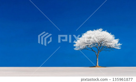 A solitary white tree stands on a snow-covered landscape under a clear blue sky 135961877