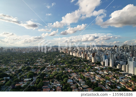 Sao Paulo skyline showcasing urban landscape and lush greenery Sao Paulo skyline showcasing urban landscape and lush greenery 135961886